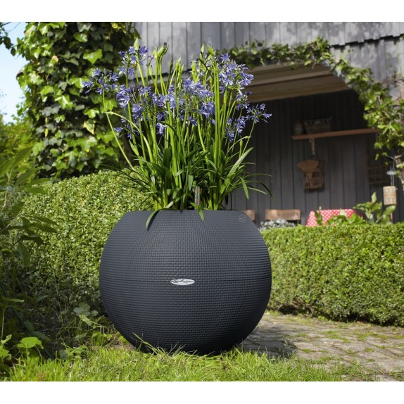 nan – Δημιουργεί αίσθηση πολυτέλειας χωρίς κόπο | iroots.gr