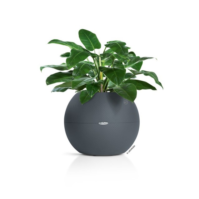 nan – Δημιουργεί αίσθηση πολυτέλειας χωρίς κόπο | iroots.gr