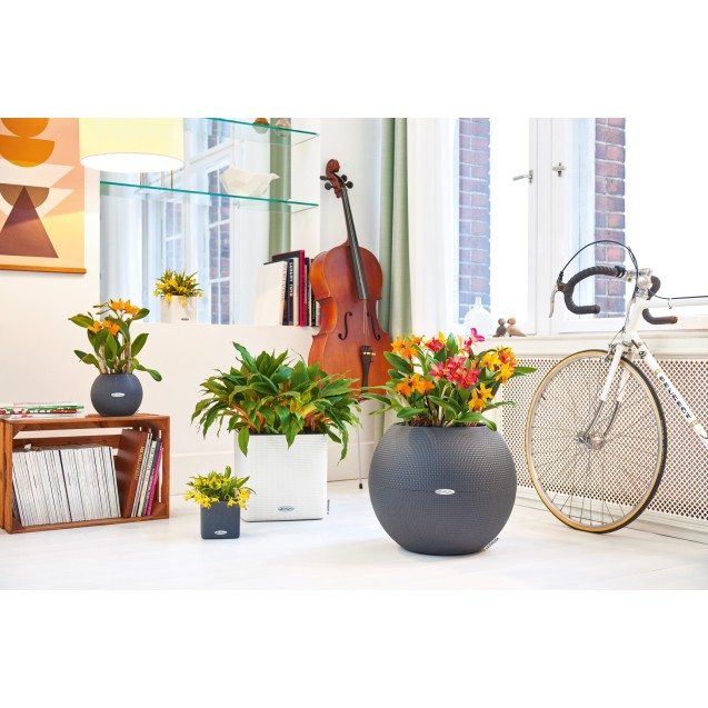 nan – Δημιουργεί αίσθηση πολυτέλειας χωρίς κόπο | iroots.gr