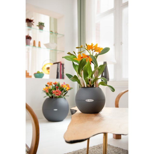 nan – Δημιουργεί αίσθηση πολυτέλειας χωρίς κόπο | iroots.gr