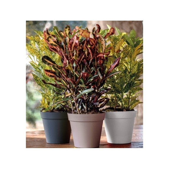 nan – Ταιριάζει σε κάθε μοντέρνο ή επαγγελματικό χώρο | iroots.gr