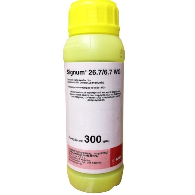 Signum® 26,7/6,7 WG 300gr – Ταιριάζει σε κάθε μοντέρνο ή επαγγελματικό χώρο | iroots.gr