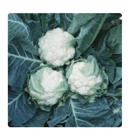 nan – Δημιουργεί αίσθηση πολυτέλειας χωρίς κόπο | iroots.gr