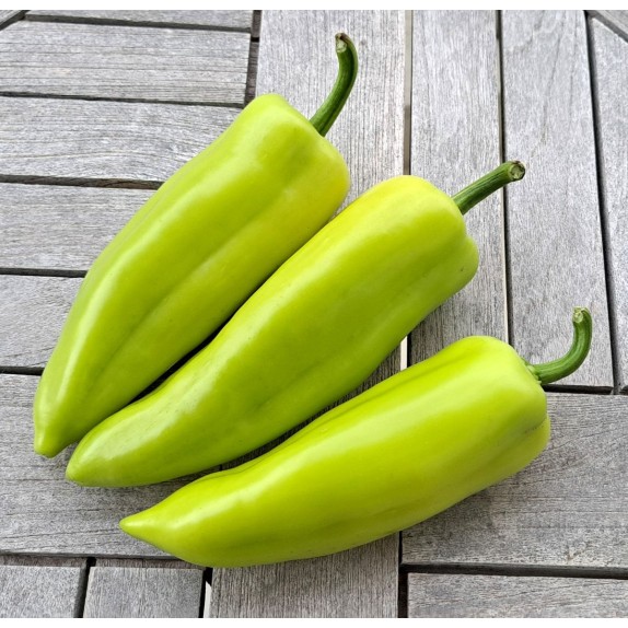 nan – Αναβαθμίζει άμεσα τον χώρο σου | iroots.gr