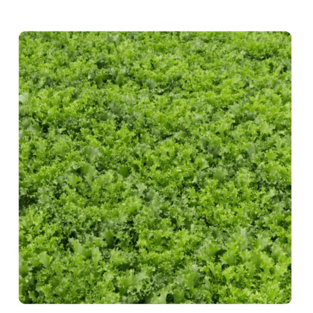 nan – Δίνει premium χαρακτήρα στο περιβάλλον | iroots.gr