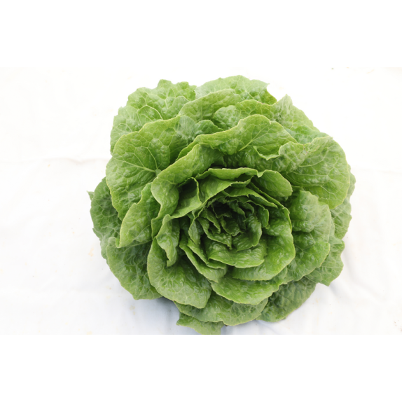 nan – Δημιουργεί αίσθηση πολυτέλειας χωρίς κόπο | iroots.gr