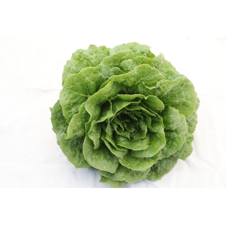 nan – Δημιουργεί αίσθηση πολυτέλειας χωρίς κόπο | iroots.gr