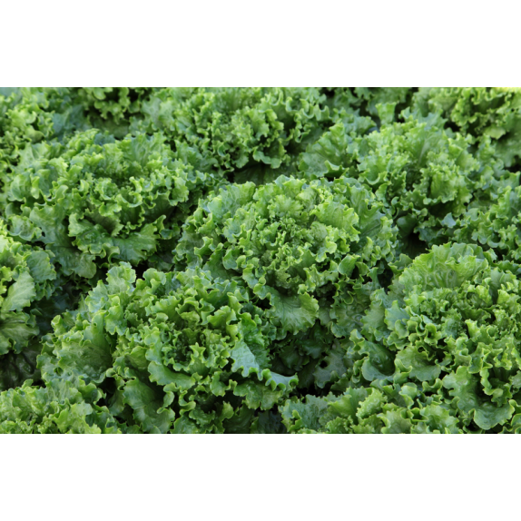 nan – Δίνει premium χαρακτήρα στο περιβάλλον | iroots.gr