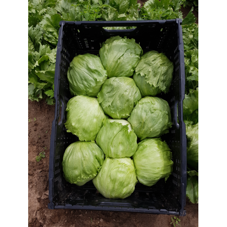 nan – Ταιριάζει σε κάθε μοντέρνο ή επαγγελματικό χώρο | iroots.gr