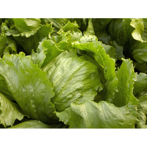 nan – Αναβαθμίζει άμεσα τον χώρο σου | iroots.gr