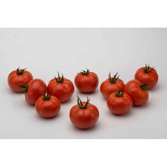 nan – Δίνει premium χαρακτήρα στο περιβάλλον | iroots.gr