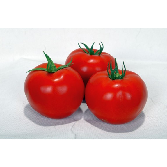 nan – Αναβαθμίζει άμεσα τον χώρο σου | iroots.gr