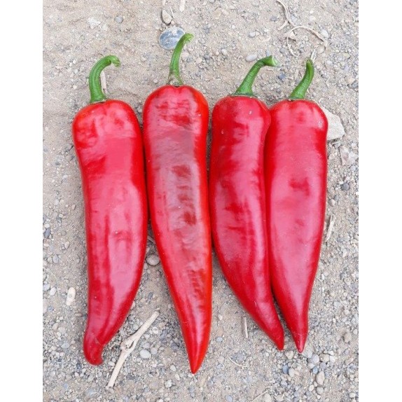 nan – Αναβαθμίζει άμεσα τον χώρο σου | iroots.gr