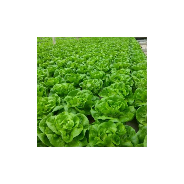 nan – Δημιουργεί αίσθηση πολυτέλειας χωρίς κόπο | iroots.gr