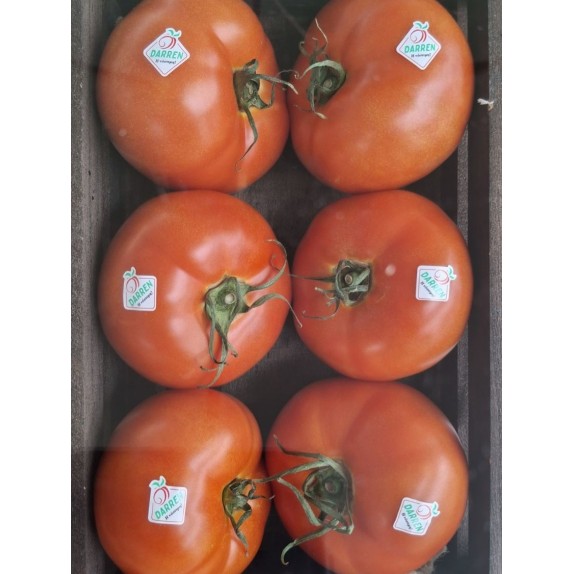 nan – Ταιριάζει σε κάθε μοντέρνο ή επαγγελματικό χώρο | iroots.gr