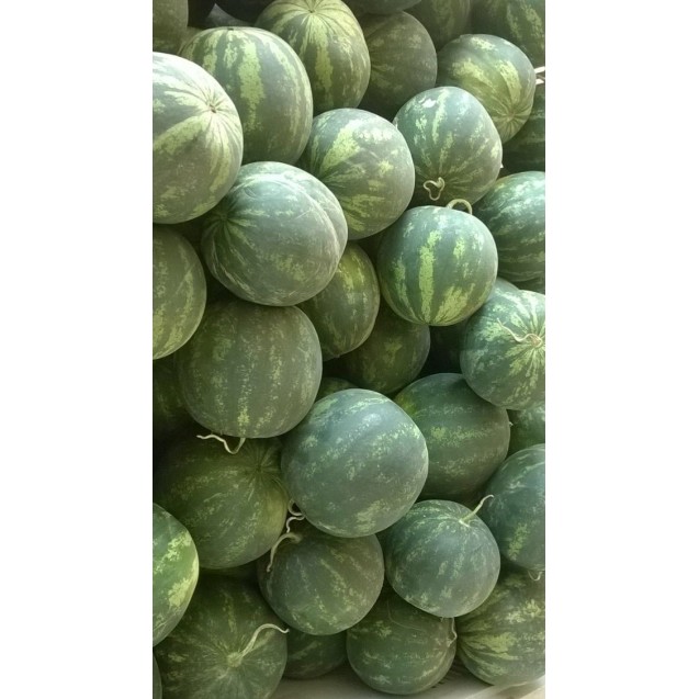 nan – Ταιριάζει σε κάθε μοντέρνο ή επαγγελματικό χώρο | iroots.gr