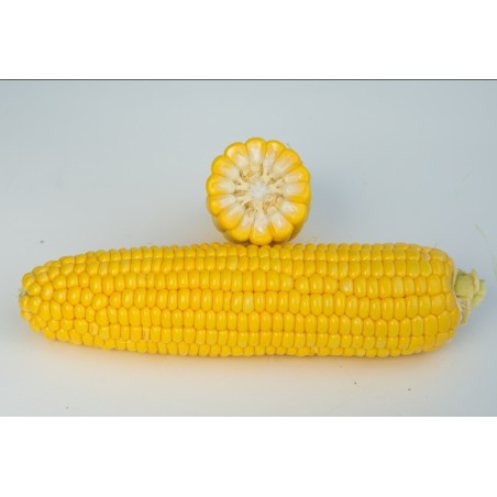 nan – Ταιριάζει σε κάθε μοντέρνο ή επαγγελματικό χώρο | iroots.gr