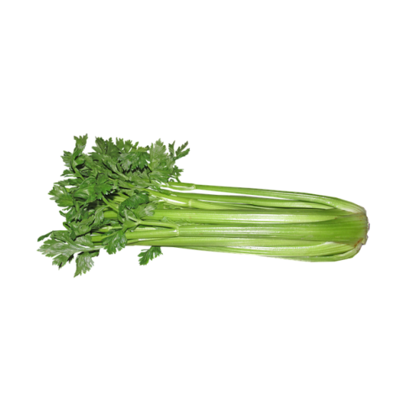 nan – Προσφέρει μοναδική αισθητική | iroots.gr