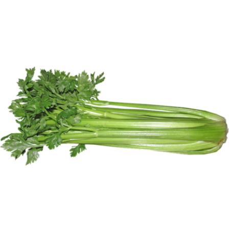 nan – Προσφέρει μοναδική αισθητική | iroots.gr