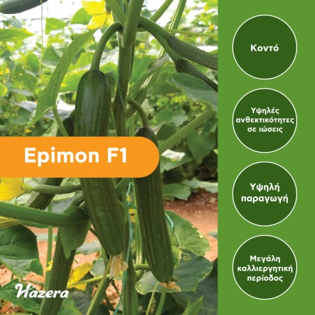 nan – Δημιουργεί αίσθηση πολυτέλειας χωρίς κόπο | iroots.gr