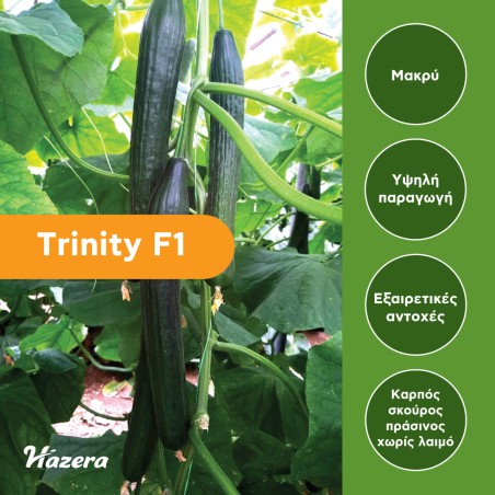 Σπόρος Αγγούρι μακρύ Trinity F1 500 σπόρων Hazera