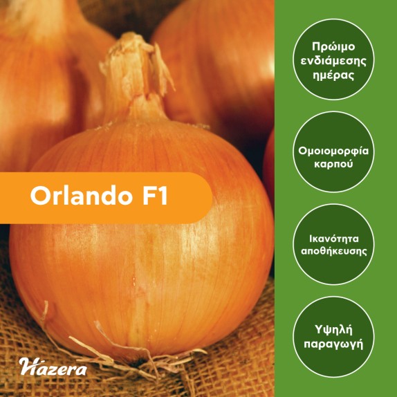 nan – Δίνει premium χαρακτήρα στο περιβάλλον | iroots.gr