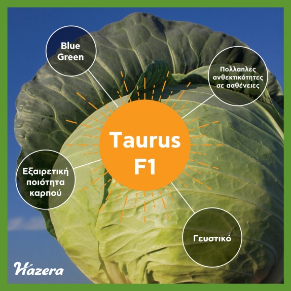 nan – Δίνει premium χαρακτήρα στο περιβάλλον | iroots.gr