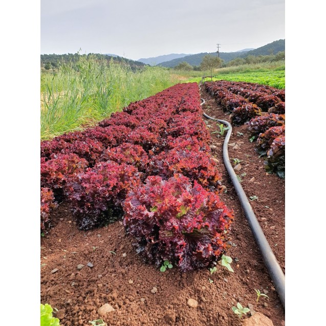 nan – Δίνει premium χαρακτήρα στο περιβάλλον | iroots.gr