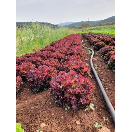 nan – Δίνει premium χαρακτήρα στο περιβάλλον | iroots.gr