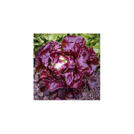 nan – Ταιριάζει σε κάθε μοντέρνο ή επαγγελματικό χώρο | iroots.gr