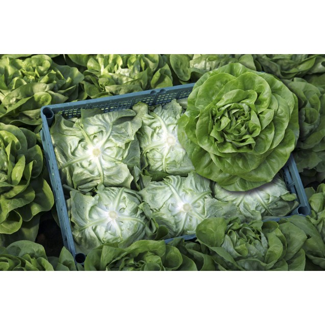 nan – Αναβαθμίζει άμεσα τον χώρο σου | iroots.gr