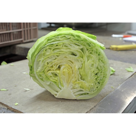 nan – Δίνει premium χαρακτήρα στο περιβάλλον | iroots.gr