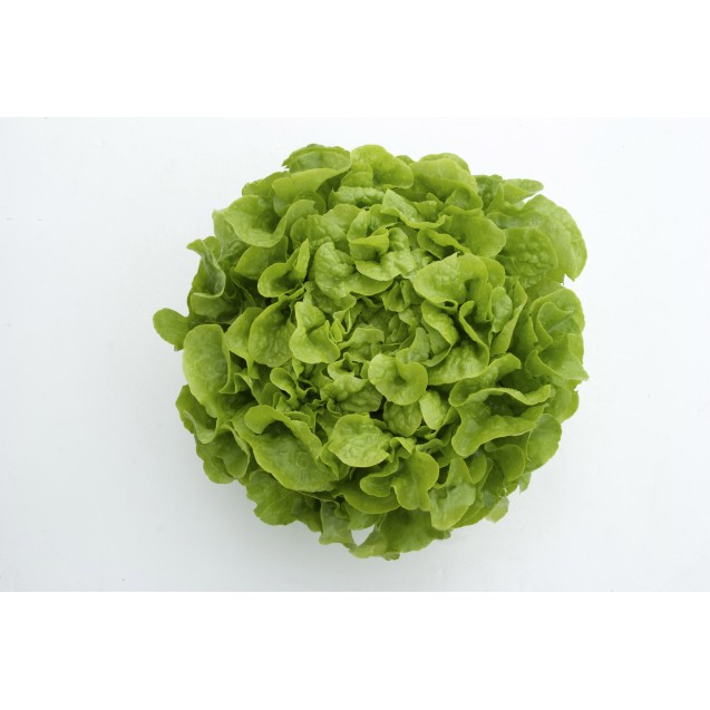 nan – Δίνει premium χαρακτήρα στο περιβάλλον | iroots.gr