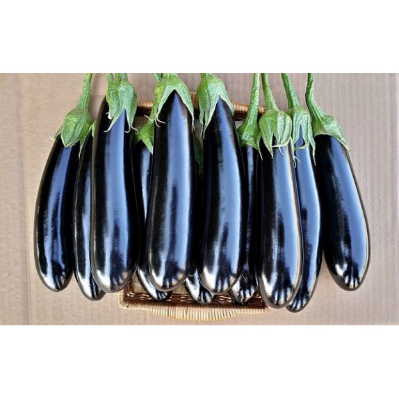 nan – Προσφέρει μοναδική αισθητική | iroots.gr