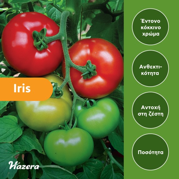 nan – Δημιουργεί αίσθηση πολυτέλειας χωρίς κόπο | iroots.gr