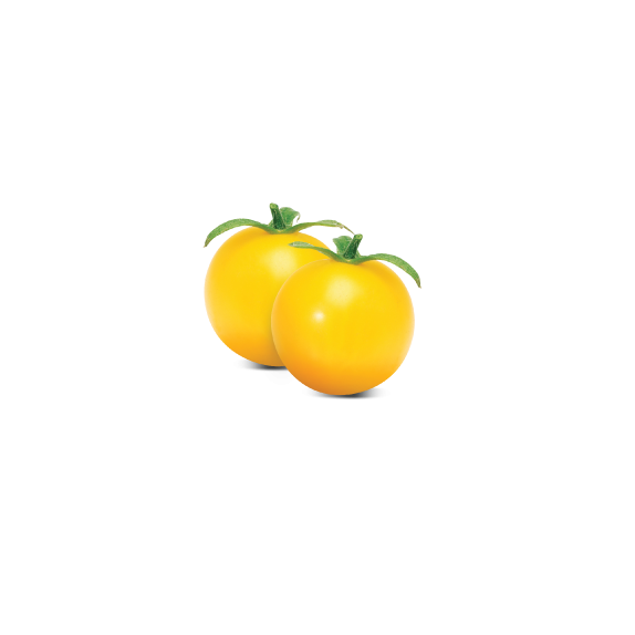 nan – Ταιριάζει σε κάθε μοντέρνο ή επαγγελματικό χώρο | iroots.gr