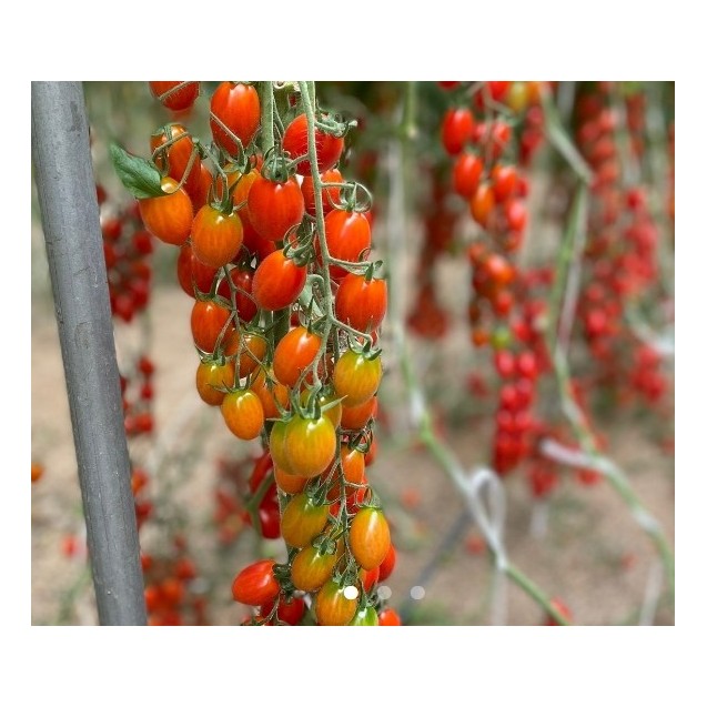 nan – Δημιουργεί αίσθηση πολυτέλειας χωρίς κόπο | iroots.gr