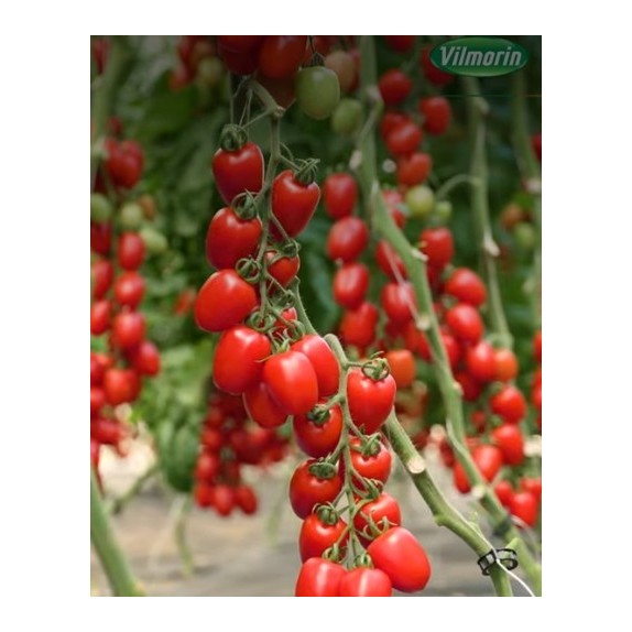 nan – Αναβαθμίζει άμεσα τον χώρο σου | iroots.gr