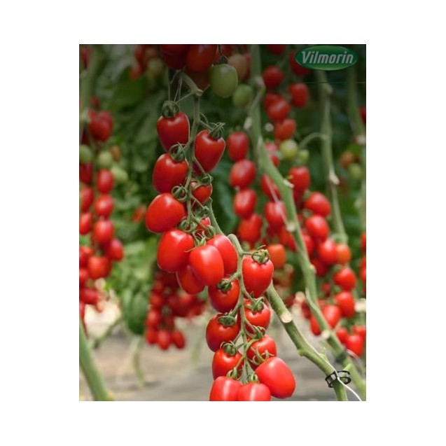 nan – Αναβαθμίζει άμεσα τον χώρο σου | iroots.gr