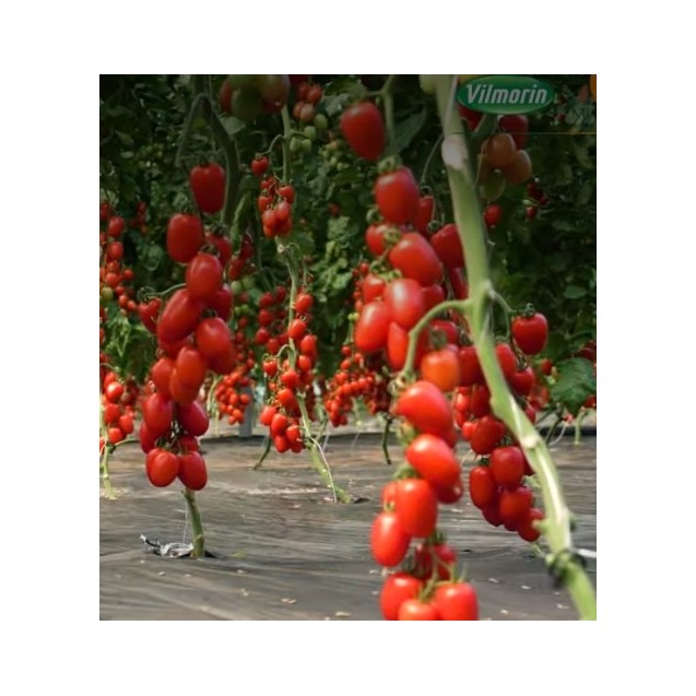 nan – Αναβαθμίζει άμεσα τον χώρο σου | iroots.gr