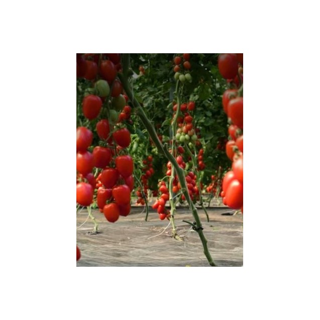 nan – Αναβαθμίζει άμεσα τον χώρο σου | iroots.gr