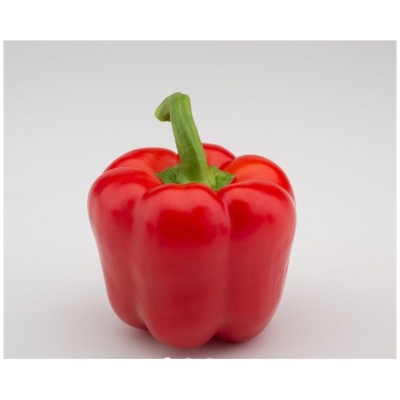 nan – Δημιουργεί αίσθηση πολυτέλειας χωρίς κόπο | iroots.gr