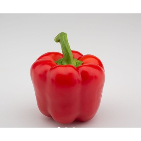 nan – Δημιουργεί αίσθηση πολυτέλειας χωρίς κόπο | iroots.gr