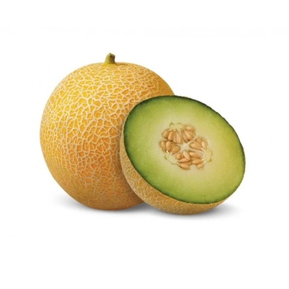 nan – Αναβαθμίζει άμεσα τον χώρο σου | iroots.gr