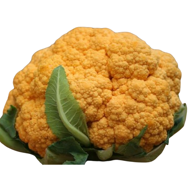 nan – Αναβαθμίζει άμεσα τον χώρο σου | iroots.gr