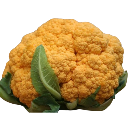 nan – Αναβαθμίζει άμεσα τον χώρο σου | iroots.gr