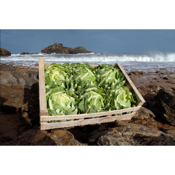 nan – Δίνει premium χαρακτήρα στο περιβάλλον | iroots.gr