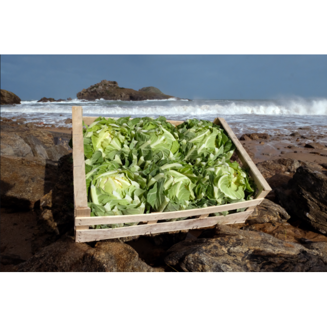 nan – Δίνει premium χαρακτήρα στο περιβάλλον | iroots.gr