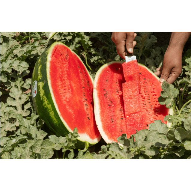 nan – Ταιριάζει σε κάθε μοντέρνο ή επαγγελματικό χώρο | iroots.gr