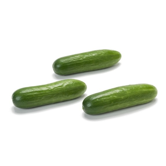 Αγγούρι Κοντό QUARTO RZ (snack) F1 500 σπόρων